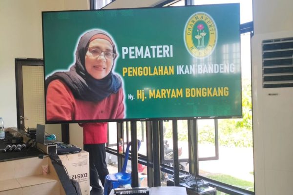 kontribusi diva bandeng 4